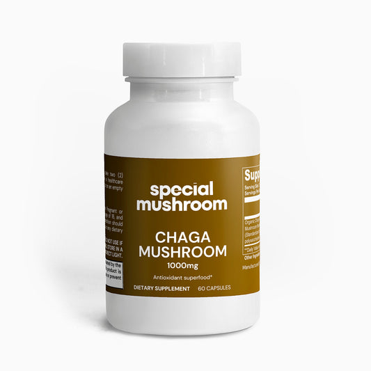 Chaga Mushroom