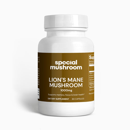 Lion's Mane Mushroom