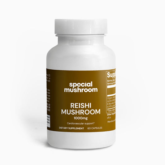 Reishi Mushroom